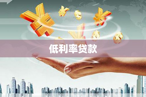 狮子低利率贷款