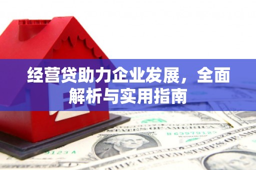 狮子经营贷助力企业发展，全面解析与实用指南