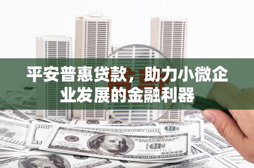 狮子平安普惠贷款，助力小微企业发展的金融利器