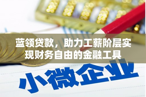 狮子蓝领贷款，助力工薪阶层实现财务自由的金融工具