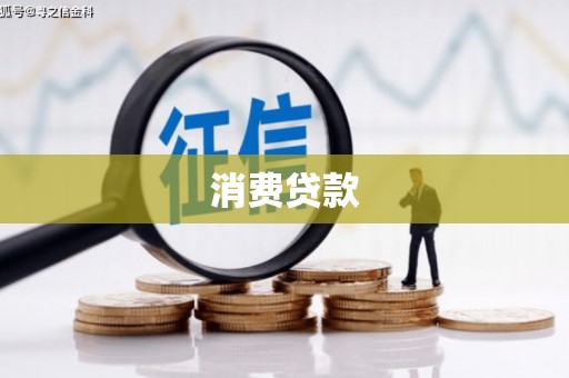 狮子消费贷款