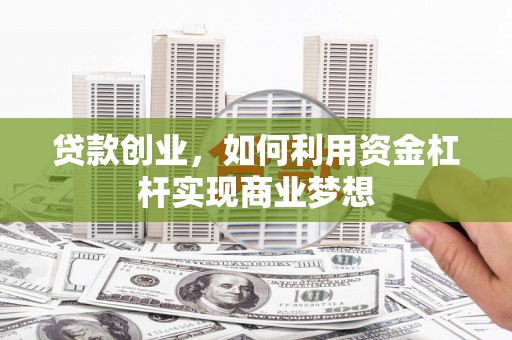 狮子贷款创业，如何利用资金杠杆实现商业梦想