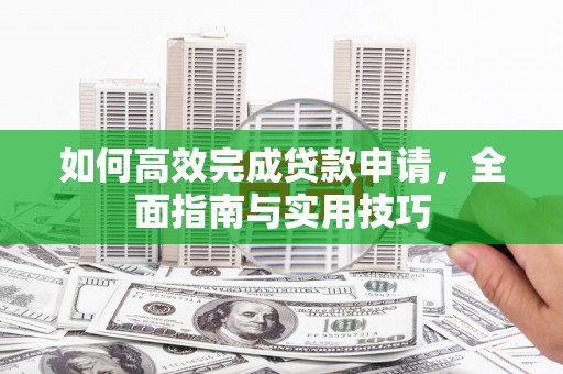 狮子如何高效完成贷款申请，全面指南与实用技巧