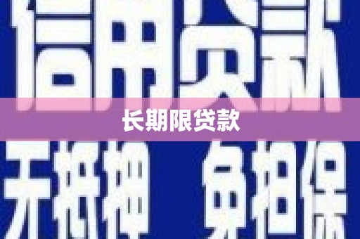 狮子长期限贷款