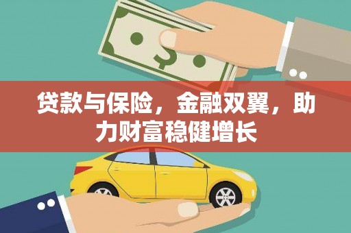 狮子贷款与保险，金融双翼，助力财富稳健增长