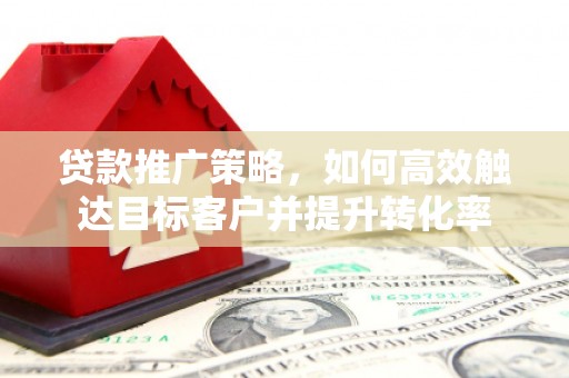 狮子贷款推广策略，如何高效触达目标客户并提升转化率