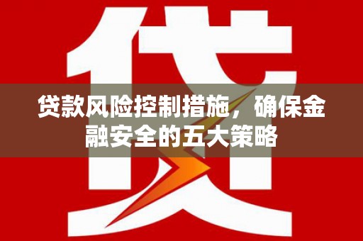 狮子贷款风险控制措施，确保金融安全的五大策略