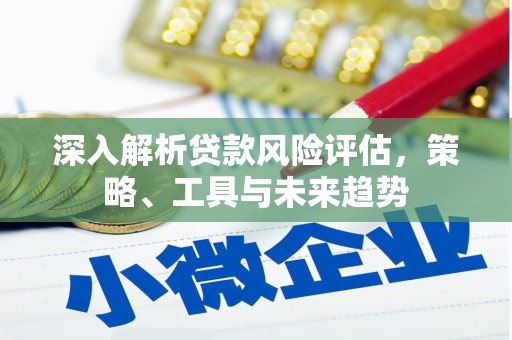 狮子深入解析贷款风险评估，策略、工具与未来趋势