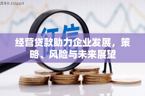 狮子经营贷款助力企业发展，策略、风险与未来展望