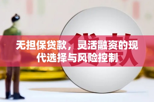 狮子无担保贷款，灵活融资的现代选择与风险控制