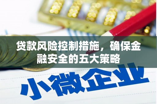 狮子贷款风险控制措施，确保金融安全的五大策略