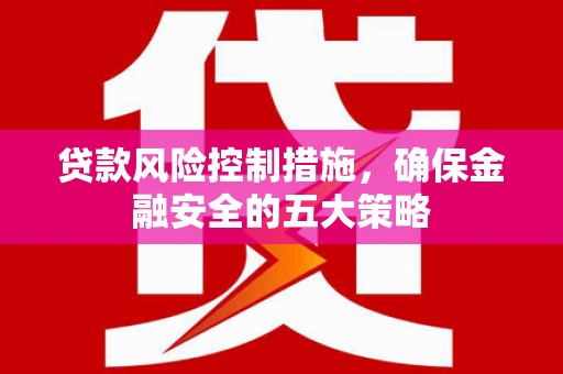 狮子贷款风险控制措施，确保金融安全的五大策略