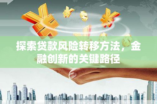 狮子探索贷款风险转移方法，金融创新的关键路径