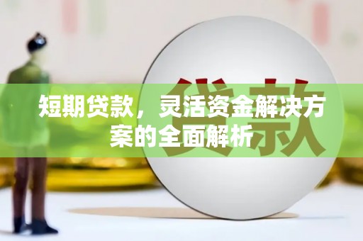 狮子短期贷款，灵活资金解决方案的全面解析