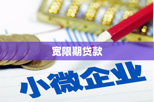 狮子宽限期贷款