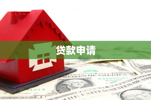 狮子贷款申请