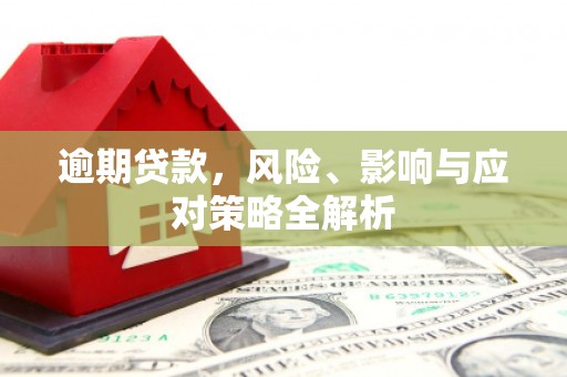 狮子逾期贷款，风险、影响与应对策略全解析