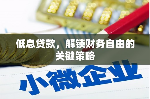 狮子低息贷款，解锁财务自由的关键策略