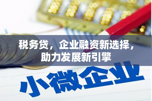 狮子税务贷，企业融资新选择，助力发展新引擎