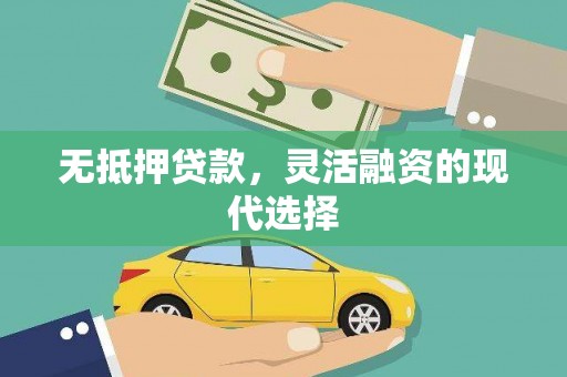 狮子无抵押贷款，灵活融资的现代选择