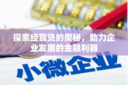 狮子探索经营贷的奥秘，助力企业发展的金融利器