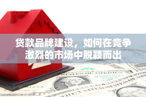 狮子贷款品牌建设，如何在竞争激烈的市场中脱颖而出
