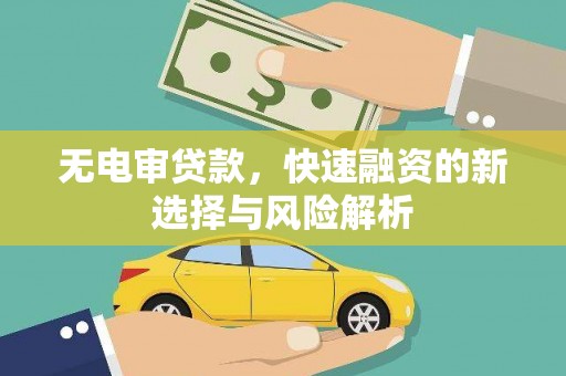 狮子无电审贷款，快速融资的新选择与风险解析