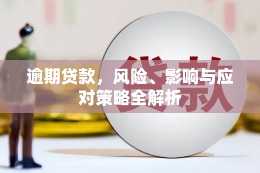狮子逾期贷款，风险、影响与应对策略全解析