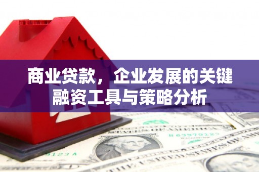 狮子商业贷款，企业发展的关键融资工具与策略分析