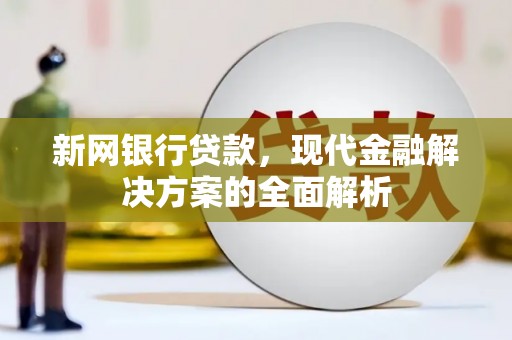 狮子新网银行贷款，现代金融解决方案的全面解析
