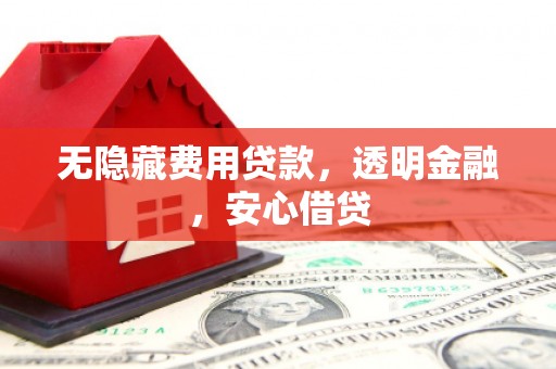 狮子无隐藏费用贷款，透明金融，安心借贷