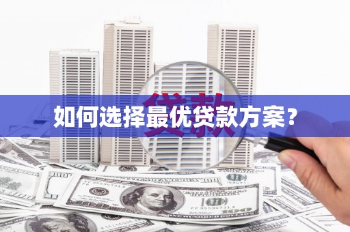 狮子如何选择最优贷款方案？