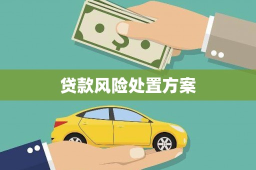 狮子贷款风险处置方案