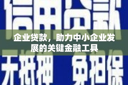 狮子企业贷款，助力中小企业发展的关键金融工具