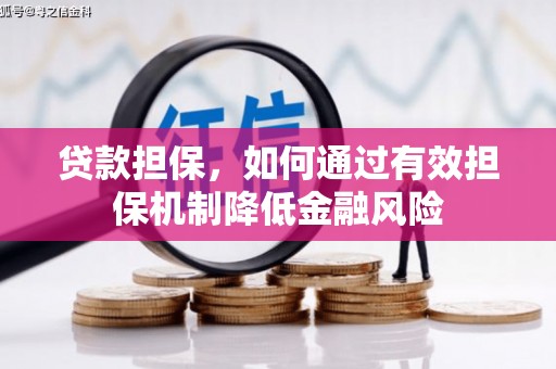 狮子贷款担保，如何通过有效担保机制降低金融风险