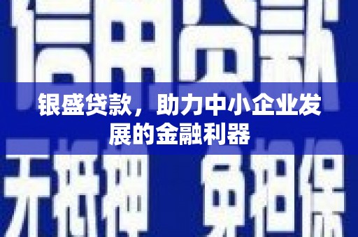 狮子银盛贷款，助力中小企业发展的金融利器