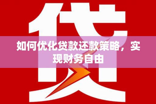 狮子如何优化贷款还款策略，实现财务自由