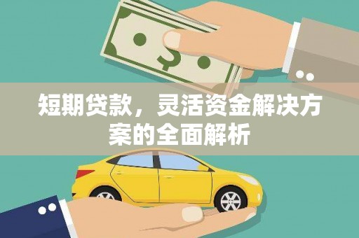 狮子短期贷款，灵活资金解决方案的全面解析