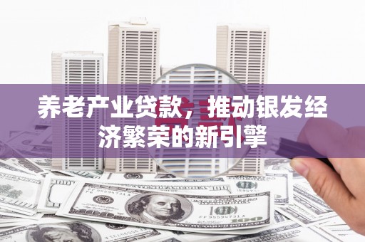 狮子养老产业贷款，推动银发经济繁荣的新引擎