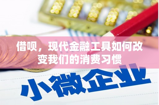狮子借呗，现代金融工具如何改变我们的消费习惯