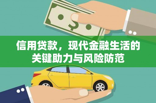 狮子信用贷款，现代金融生活的关键助力与风险防范