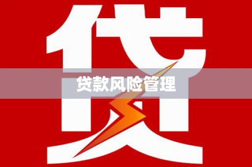 狮子贷款风险管理