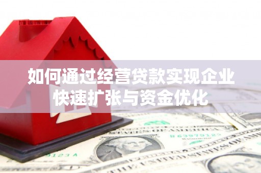 狮子如何通过经营贷款实现企业快速扩张与资金优化