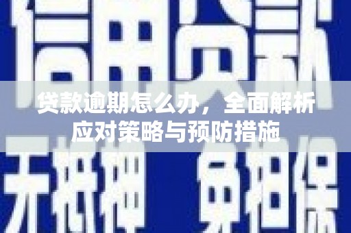 狮子贷款逾期怎么办，全面解析应对策略与预防措施