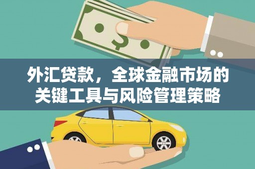 狮子外汇贷款，全球金融市场的关键工具与风险管理策略