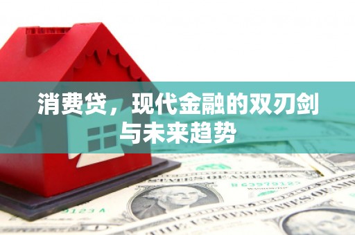 狮子消费贷，现代金融的双刃剑与未来趋势