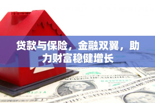 狮子贷款与保险，金融双翼，助力财富稳健增长