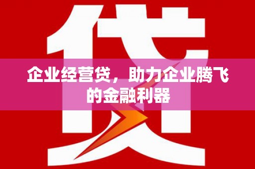 狮子企业经营贷，助力企业腾飞的金融利器