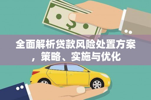 狮子全面解析贷款风险处置方案，策略、实施与优化
