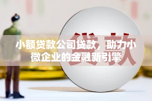 狮子小额贷款公司贷款，助力小微企业的金融新引擎
